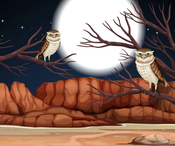 Desert with rock mountains and burrowing owl landscape at night scene illustration