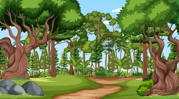 Adegan Hutan Dengan Berbagai Ilustrasi Pohon Hutan - Stok Vektor