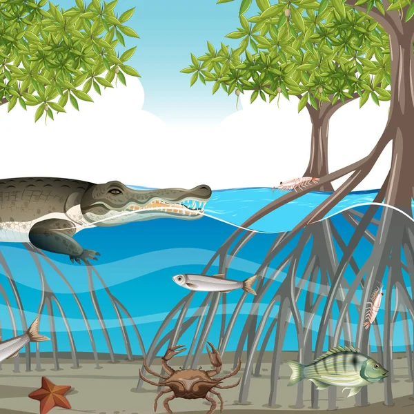 Mangrove Bos Scene Overdag Met Dieren Het Water Illustratie — Stockvector