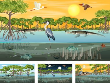 Çeşitli hayvan resimleriyle farklı mangrov orman manzaraları.