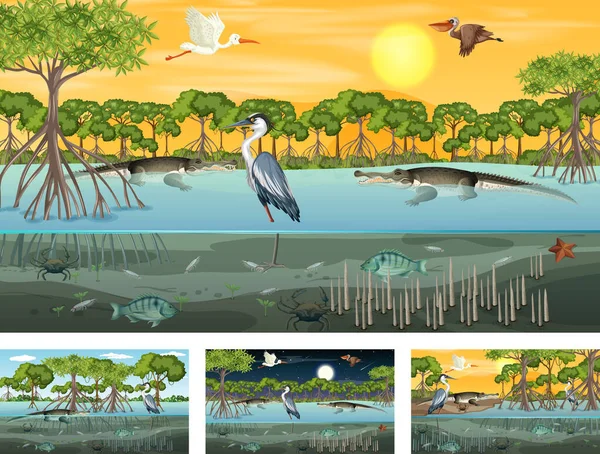 Différentes Scènes Paysage Forêt Mangrove Avec Diverses Illustrations Animaux — Image vectorielle