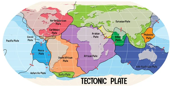 Mapa Světa Zobrazování Tektonických Desek Hranice Ilustrace — Stockový vektor