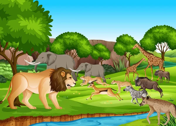 Grupo Animales Salvajes Africanos Escena Forestal Ilustración — Vector de stock