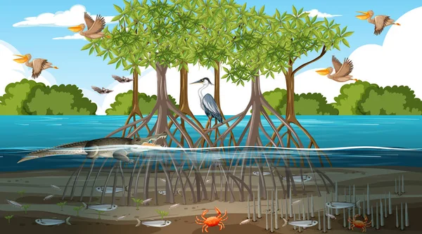Mangrove Τοπίο Δάσος Σκηνή Την Ημέρα Πολλά Διαφορετικά Ζώα Εικονογράφηση — Διανυσματικό Αρχείο