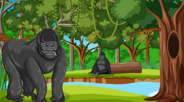 Gorila Escena Del Bosque Selva Tropical Con Muchos Árboles Ilustración — Archivo Imágenes Vectoriales