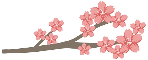 桜や桜の枝分離図 — ストックベクタ