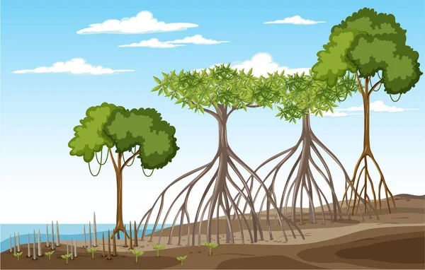 Escena Naturaleza Con Bosque Manglares Ilustración Estilo Dibujos Animados — Vector de stock