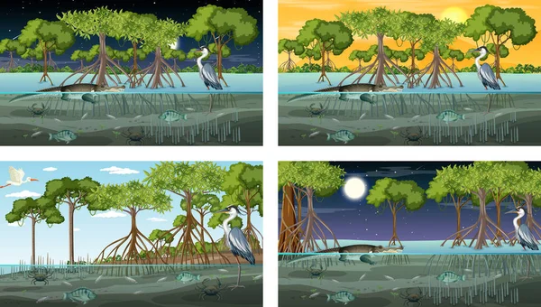 Olika Mangrove Skog Landskap Scener Med Djur Illustration — Stock vektor
