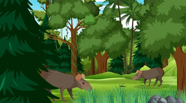 Capybara Family Forest Rainforest Scene Many Trees Illustration — Stock Vector