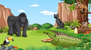 Ormandaki ya da yağmur ormanlarındaki diğer vahşi hayvanlarla goril resimleri.