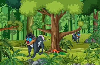 Mandrill aile illüstrasyonlu tropik yağmur ormanı sahnesi