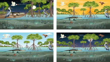 Farklı mangrov ormanları ve hayvan resimleri.