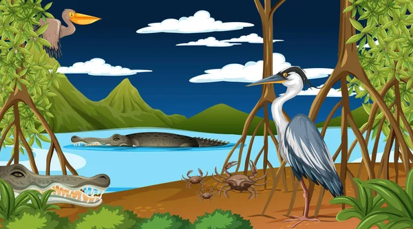 Animals Live Mangrove Forest Night Scene Illustration — Stock Vector