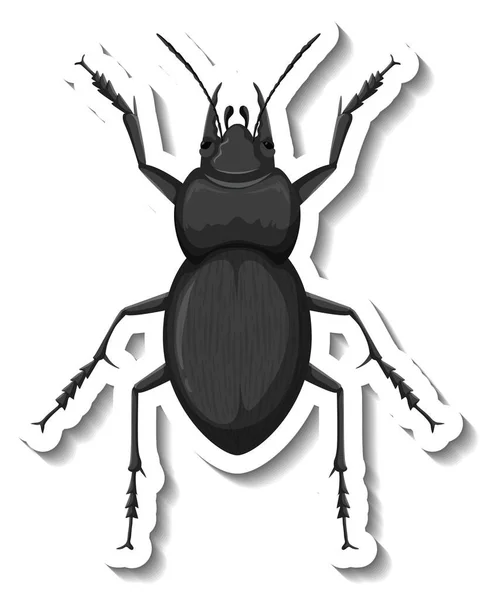 甲虫分離図の上面が見えるステッカーテンプレート — ストックベクタ