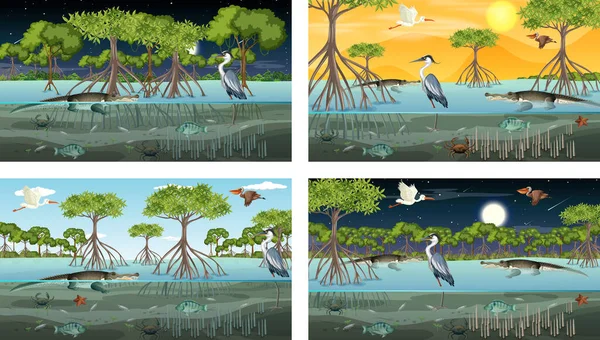 Verschiedene Mangrovenwälder Landschaftsszenen Mit Tieren Und Pflanzen Illustration — Stockvektor