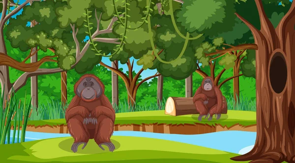 Orangután Escena Del Bosque Selva Tropical Con Muchos Árboles Ilustración — Archivo Imágenes Vectoriales