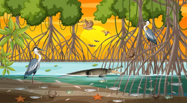 Mangrovenwälder Landschaft Szene Bei Sonnenuntergang Mit Vielen Verschiedenen Tieren Illustration — Stockvektor
