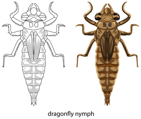 Dragonfly Färg Och Klotter Vit Bakgrund Illustration — Stock vektor