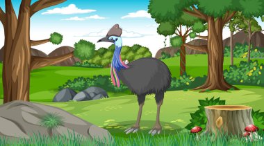 Gündüz vakti ormanda ya da tropikal ormanda bir cassowary.