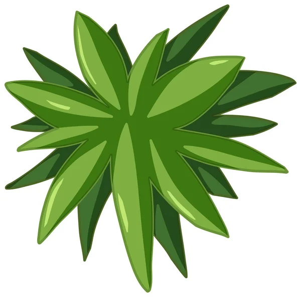 緑の葉の漫画スタイル上の白い背景イラスト — ストックベクタ