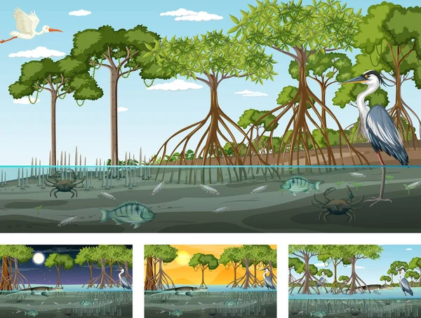 Verschillende Mangrove Bos Landschap Scènes Met Dieren Illustratie — Stockvector