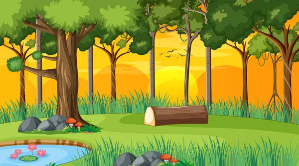 Escena Del Paisaje Forestal Atardecer Con Muchos Árboles Diferentes Ilustración — Vector de stock