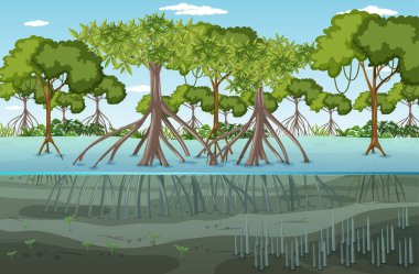Mangrove orman manzarası gündüz illüstrasyonu