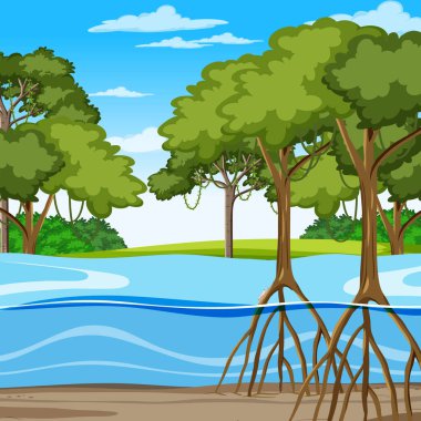 Mangrove Ormanı 'nın karikatür tarzı illüstrasyonuyla çekilmiş doğa sahnesi.