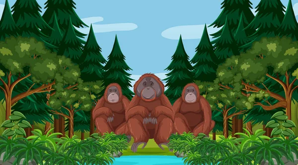 Orangutan Forest Rainforest Scene Many Trees Illustration — Stock Vector