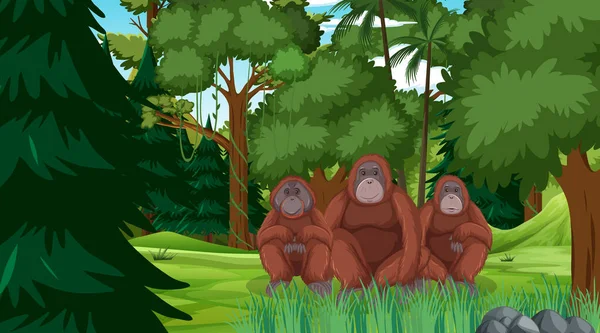 Orang Outan Dans Forêt Forêt Tropicale Avec Nombreux Arbres Illustration — Image vectorielle