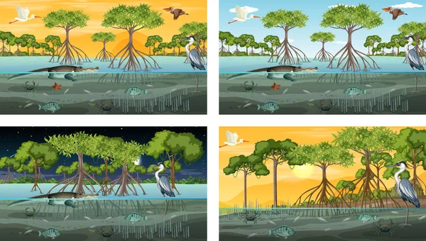 Olika Mangrove Skog Landskap Scener Med Djur Och Växter Illustration — Stock vektor