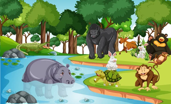 Veel Verschillende Dieren Het Bos Scene Illustratie — Stockvector