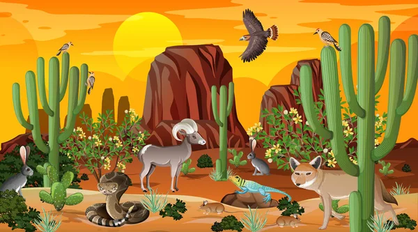Wüstenwald Landschaft Szene Bei Sonnenuntergang Mit Wilden Tieren Illustration — Stockvektor