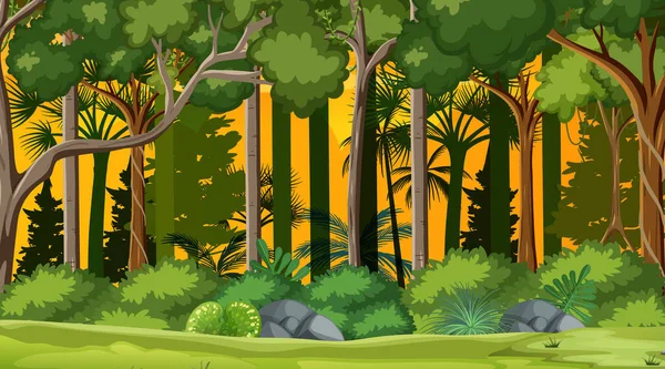 Skogslandskapsscen Vid Solnedgången Tid Illustration — Stock vektor