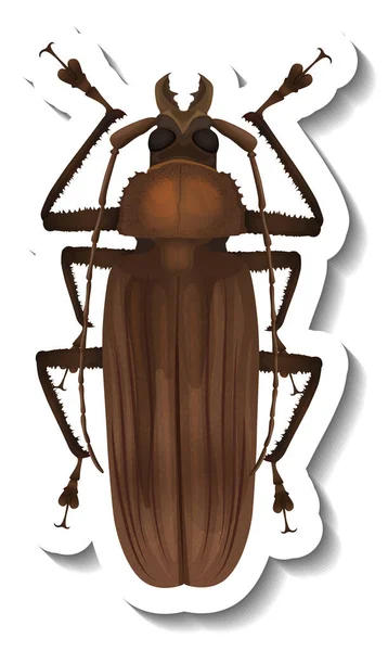 Una Plantilla Pegatina Con Vista Superior Escarabajo Cockchafer Ilustración Aislada — Vector de stock