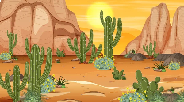 Desert forest landscape at sunset time scene with many cactuses illustration