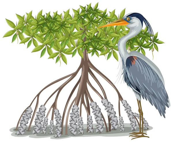 Grand Héron Bleu Avec Mangrove Tree Dans Style Dessin Animé — Image vectorielle