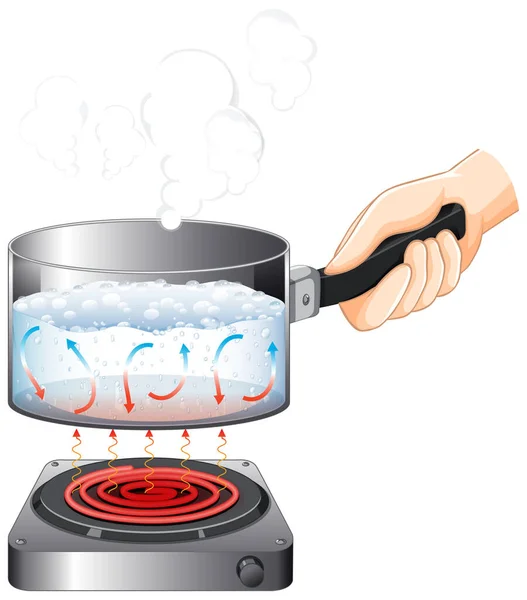 Hand Holding Saucepan Water Boiled Stove Isolated Illustration — Stock Vector