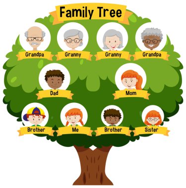 Üç kuşak aile ağacı çizimini gösteren diyagram