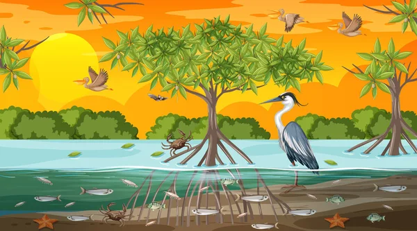 Mangrove Τοπίο Δάσος Σκηνή Στο Ηλιοβασίλεμα Πολλά Διαφορετικά Ζώα Εικονογράφηση — Διανυσματικό Αρχείο