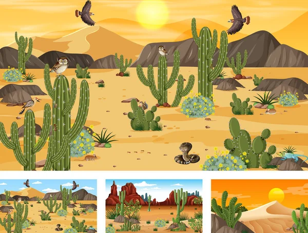 Különböző Sivatagi Erdei Jelenetek Állatokkal Növényekkel Illusztrálva — Stock Vector