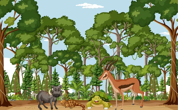 Cena Floresta Tropical Com Vários Animais Selvagens Ilustração —  Vetores de Stock