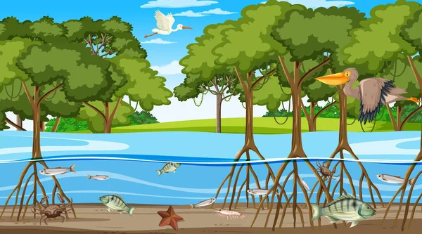 Dieren Leven Mangrove Bos Overdag Scène Illustratie — Stockvector