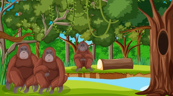 Ormanda Veya Yağmur Ormanlarında Birçok Ağaç Resimli Orangutan Manzarası — Stok Vektör