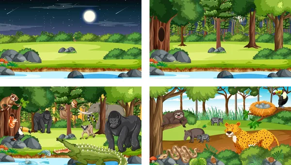Diferentes Cenas Natureza Floresta Floresta Tropical Com Animais Selvagens Ilustração — Vetor de Stock