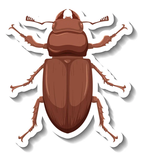 Plantilla Adhesiva Con Vista Superior Una Ilustración Aislada Escarabajo — Vector de stock