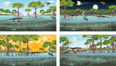Hayvanlar ve bitkilerin resimleriyle farklı mangrov orman manzaraları.