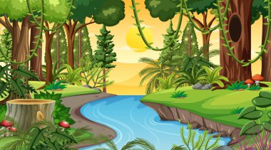 Orman manzarası günbatımında birçok farklı ağaç resmedilmiş.