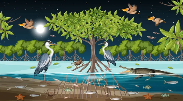 Mangrove Skog Landskap Scen Natten Med Många Olika Djur Illustration — Stock vektor