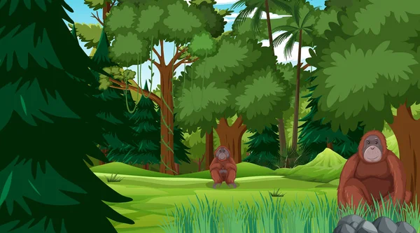 Orangutan Lesie Lub Lasów Deszczowych Sceny Wielu Drzew Ilustracji — Wektor stockowy